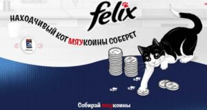 Felix - Находчивый кот мяукоины соберет